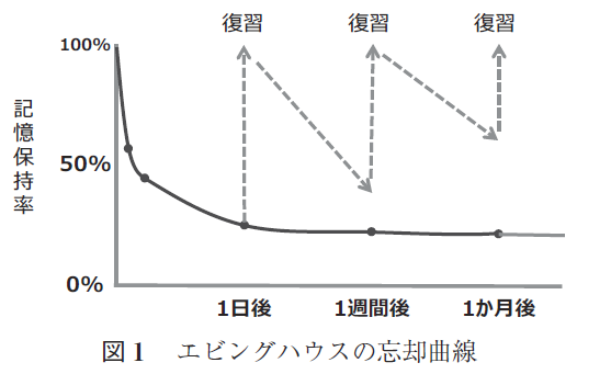 中学受験先取り学習にはRISU算数がおすすめ！RISU算数の良い点、悪い点、口コミまとめ